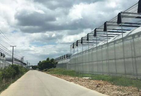 �������ҵĽ�������Ӧ������